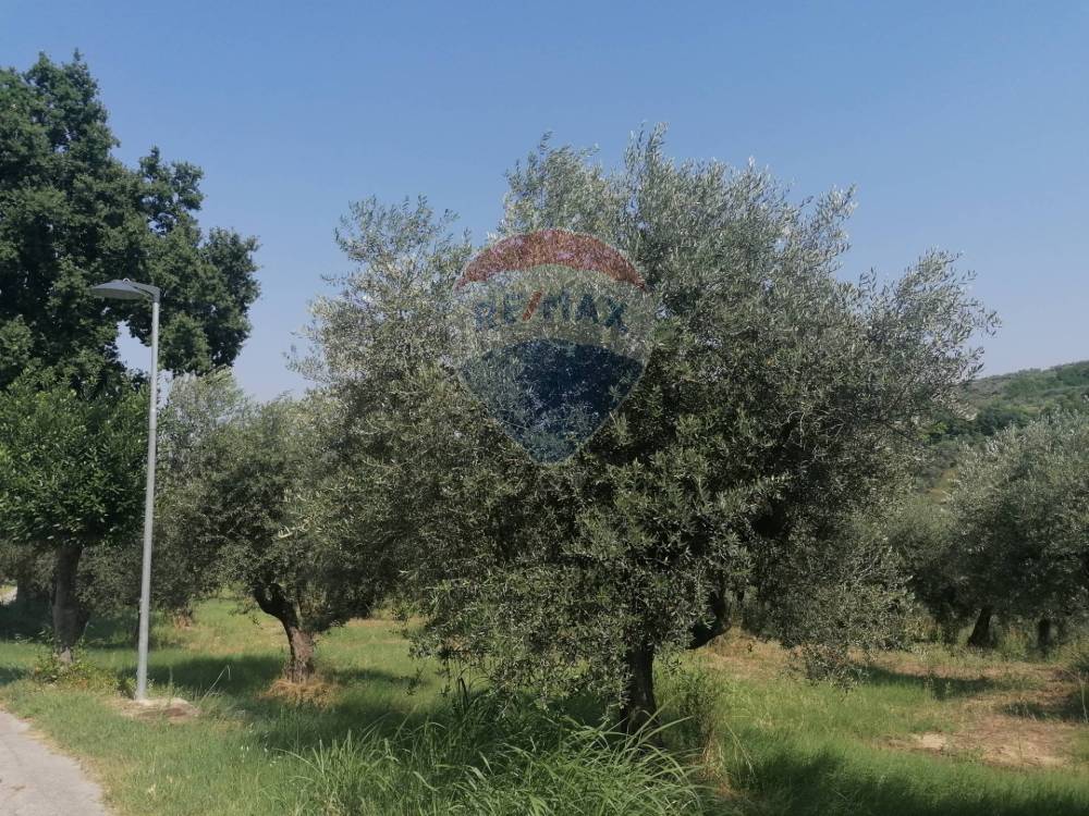 immagine annuncio 2 di 6