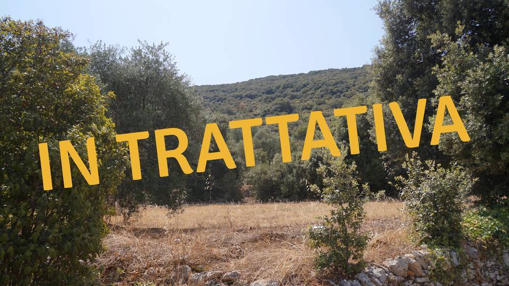 immagine annuncio 13 di 14