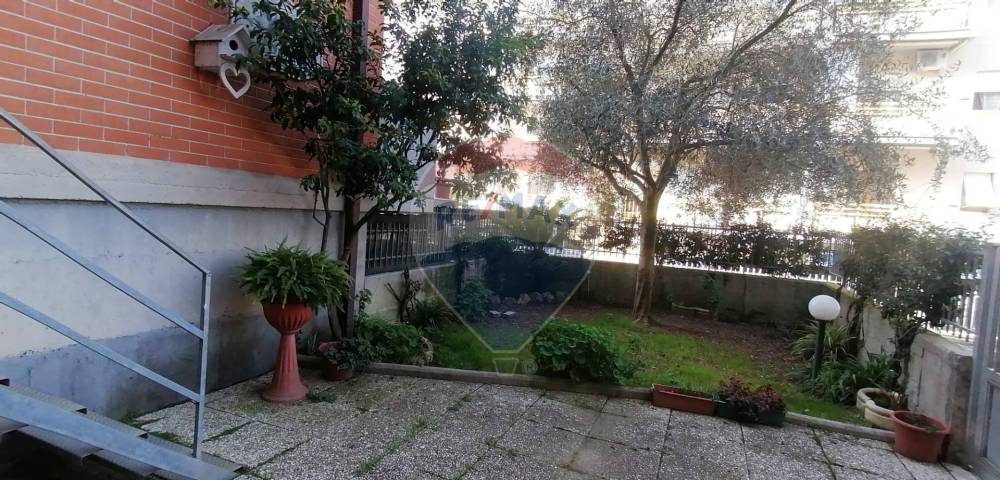 immagine annuncio 3 di 14