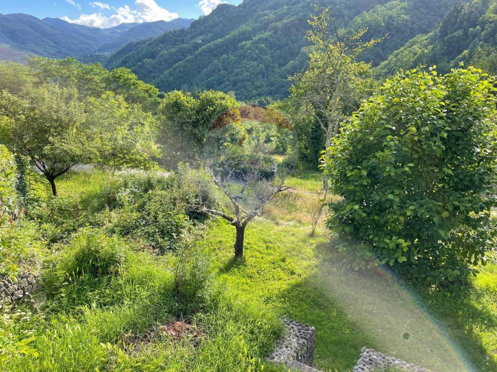 immagine annuncio 2 di 13