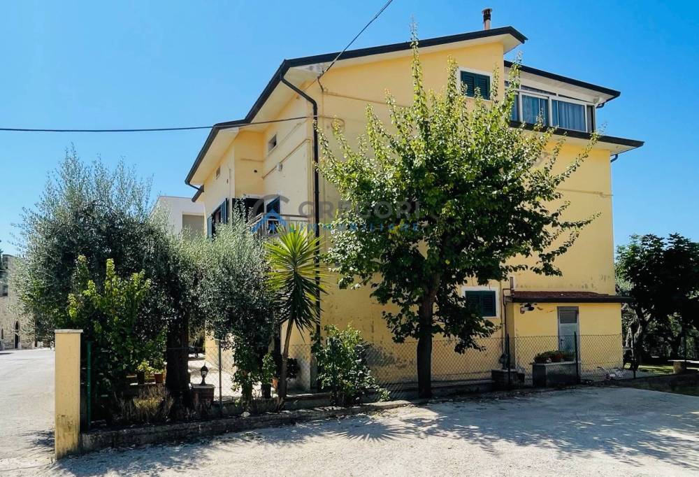 immagine annuncio 2 di 13