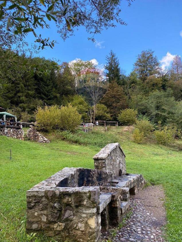 immagine annuncio 8 di 11