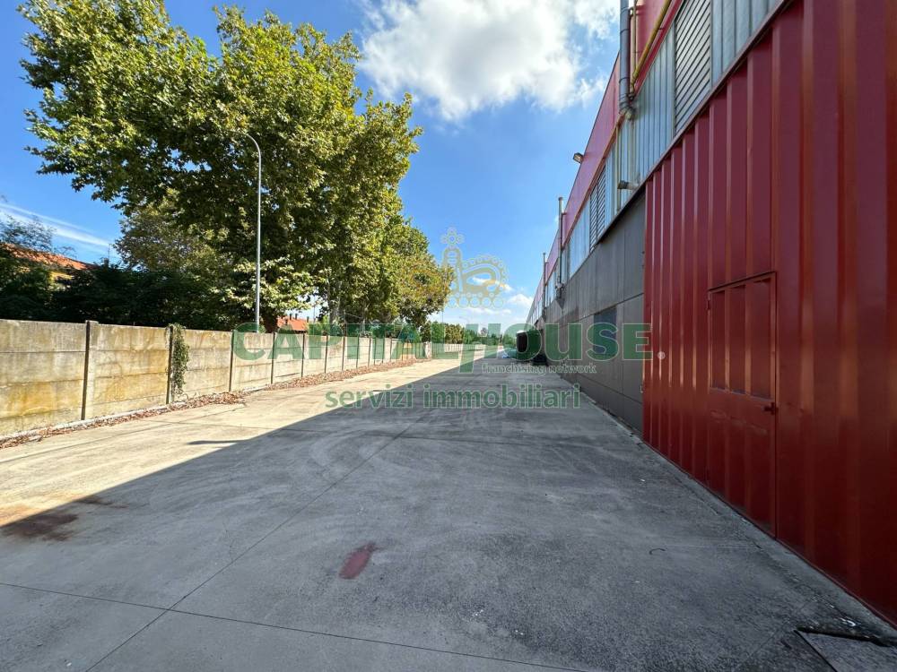 immagine annuncio 2 di 13