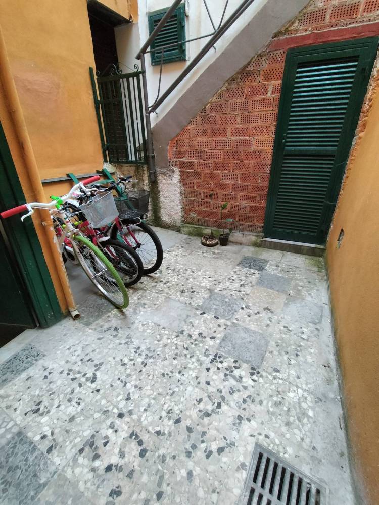 immagine annuncio 1 di 14