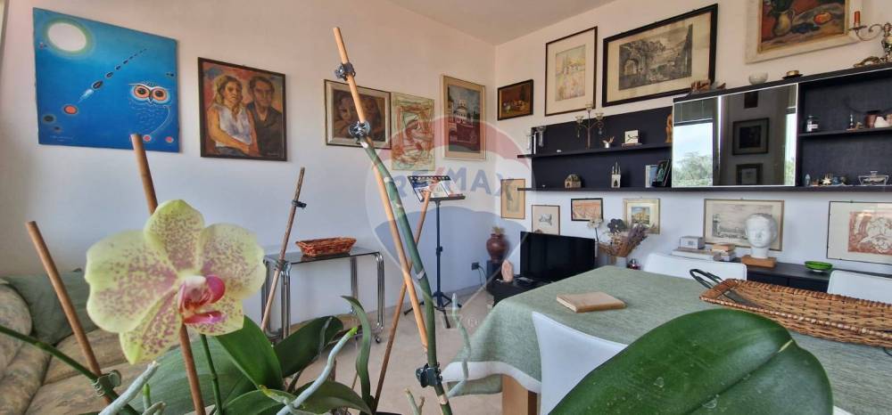 immagine annuncio 7 di 14