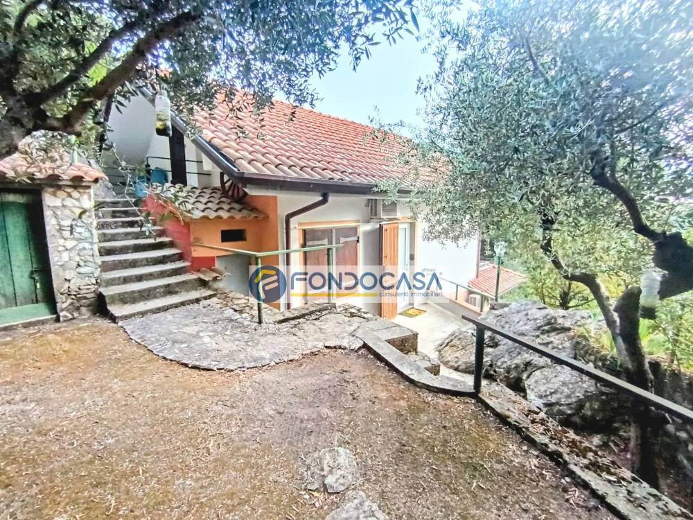 immagine annuncio 7 di 13