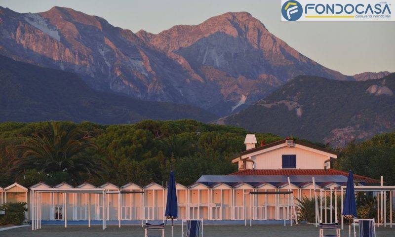 immagine annuncio 9 di 13