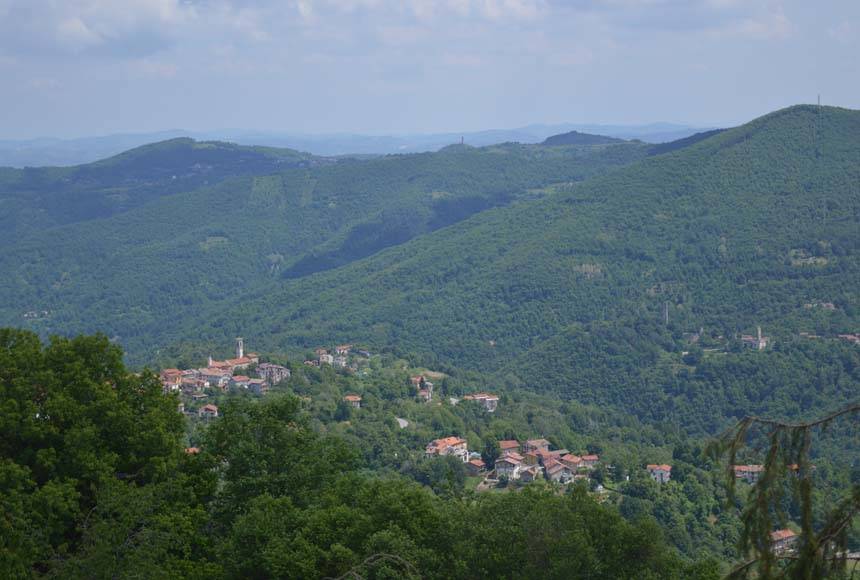 immagine annuncio 2 di 13