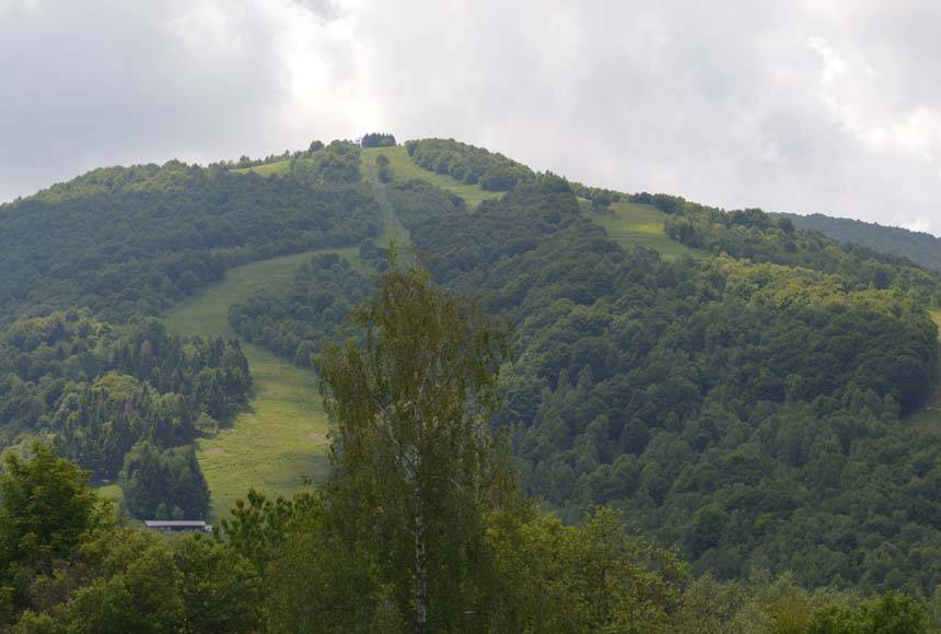 immagine annuncio 3 di 13
