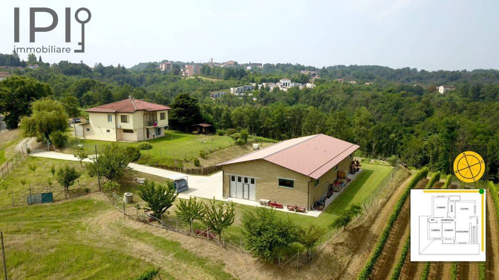 immagine annuncio 12 di 14