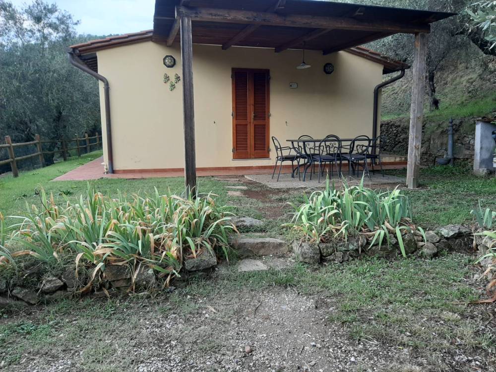 immagine annuncio 1 di 11