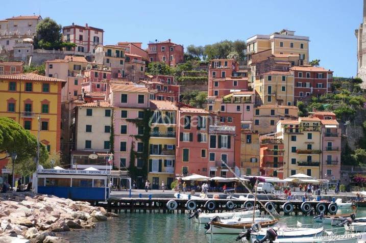 immagine annuncio 12 di 14