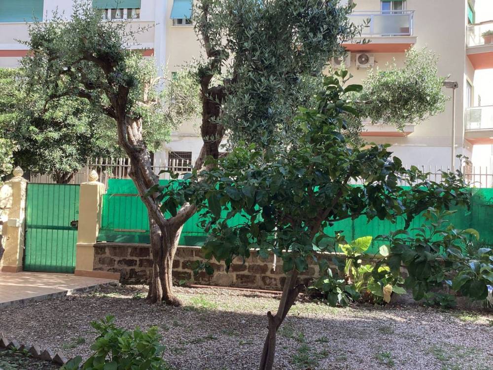 immagine annuncio 1 di 13