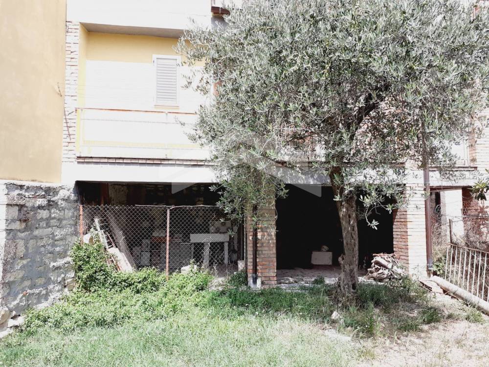 immagine annuncio 11 di 13