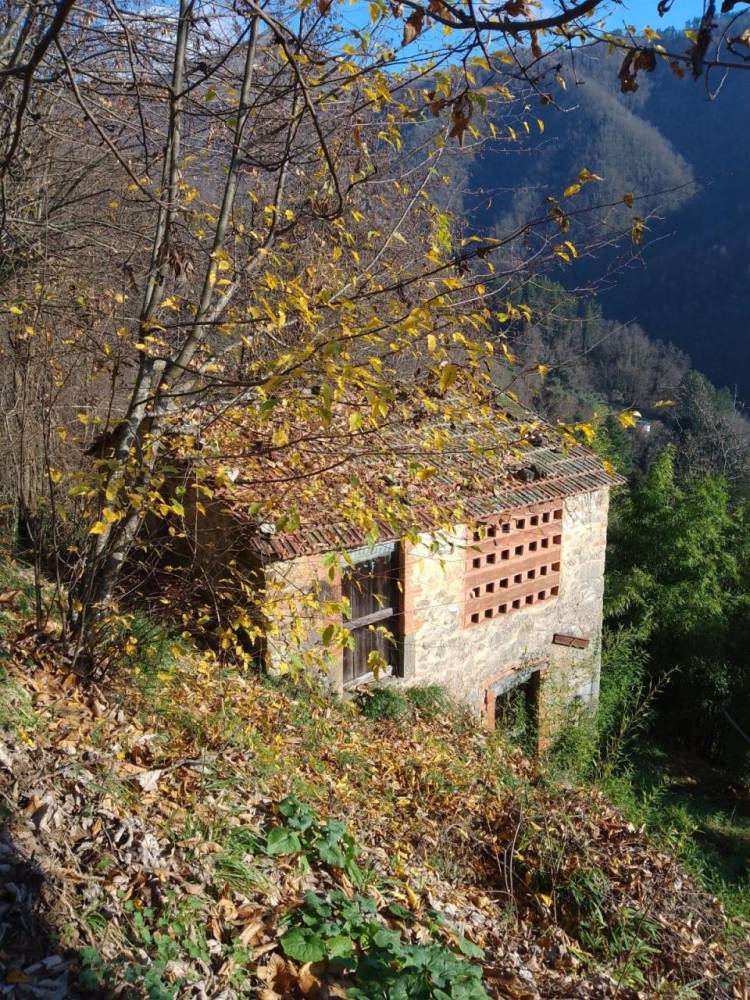 immagine annuncio 11 di 13