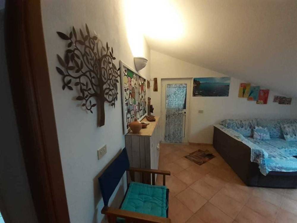 immagine annuncio 4 di 12