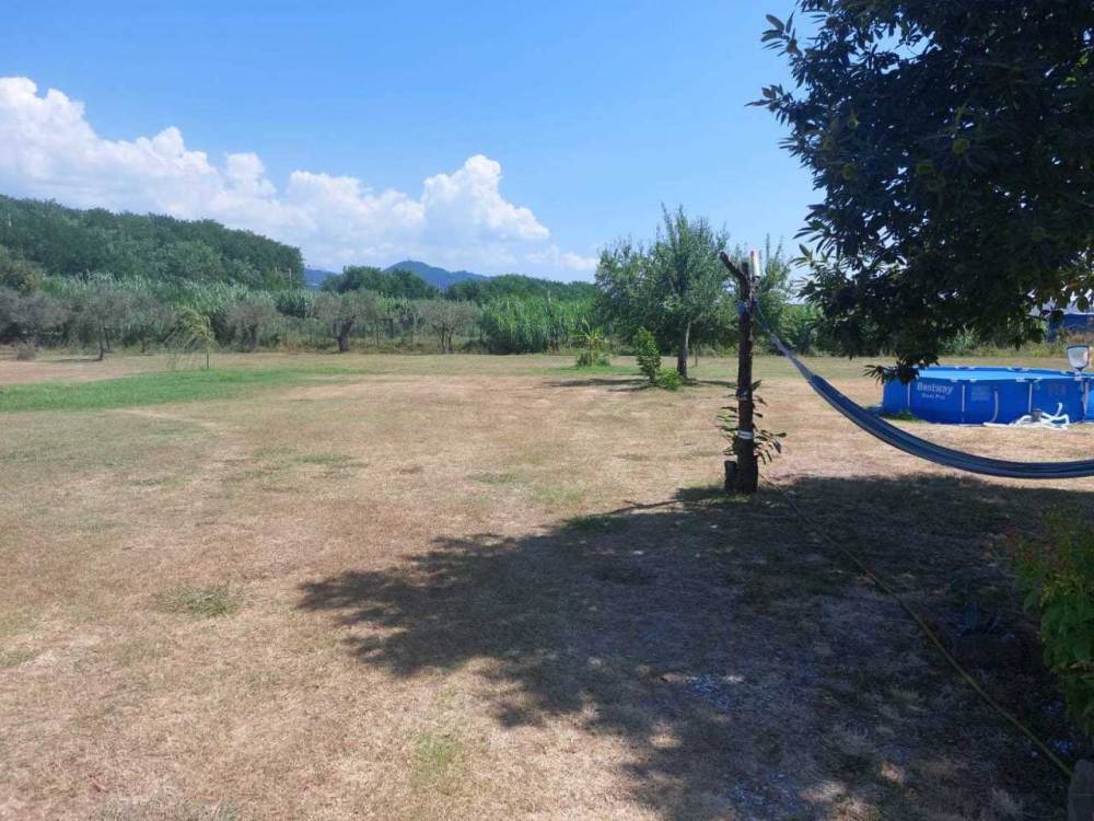 immagine annuncio 5 di 12