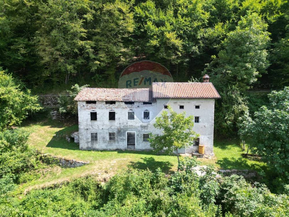 immagine annuncio 12 di 13