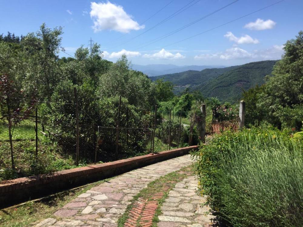 immagine annuncio 11 di 13