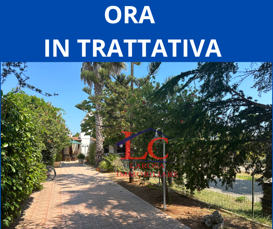 immagine annuncio 12 di 14