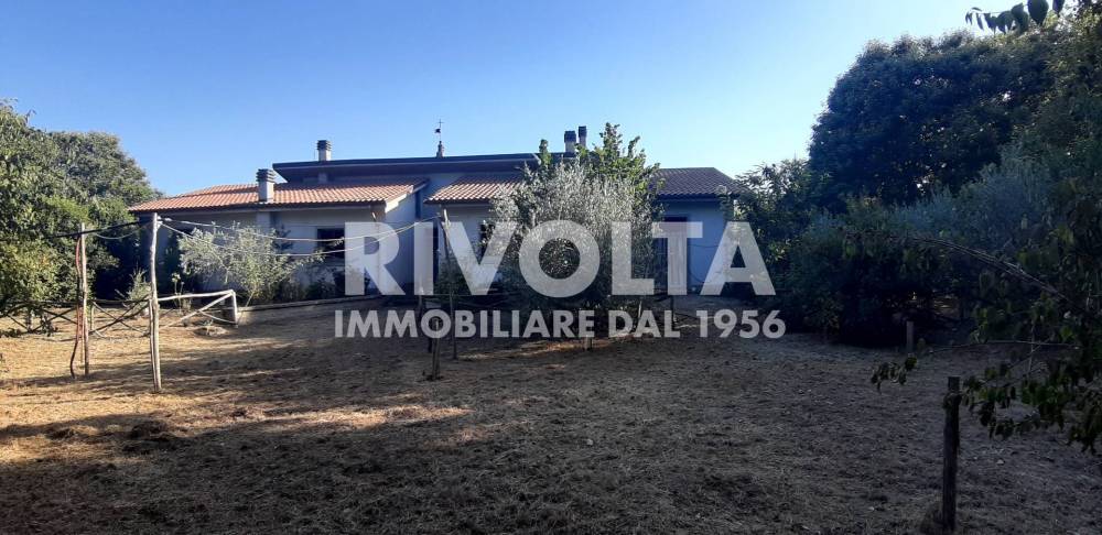 immagine annuncio 11 di 13