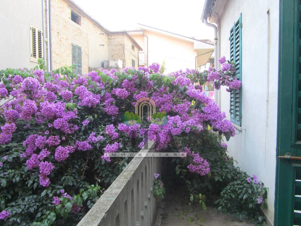 immagine annuncio 4 di 8