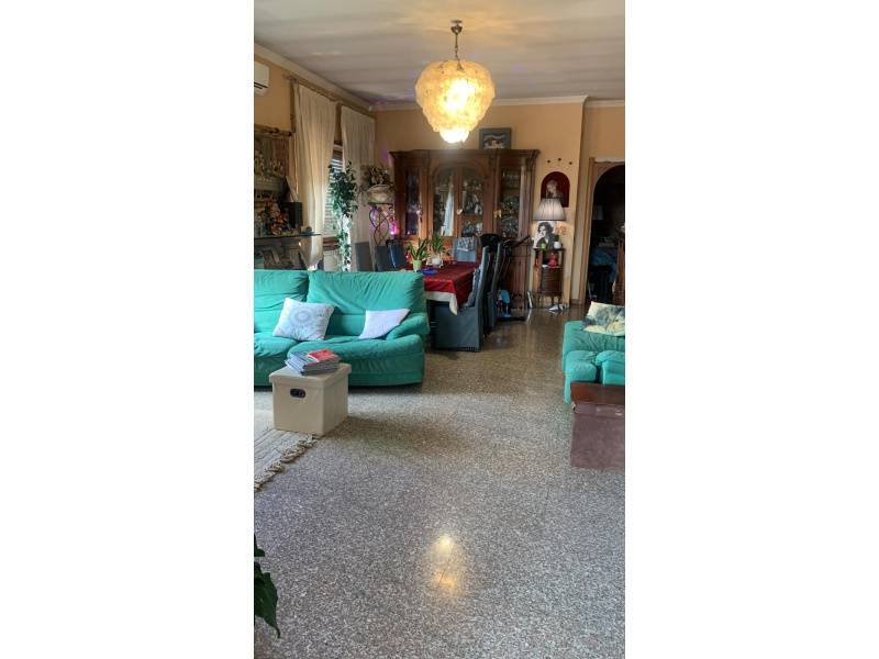 immagine annuncio 5 di 13
