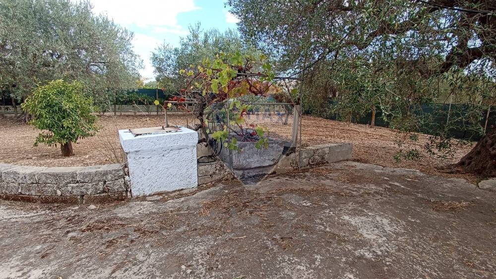 immagine annuncio 5 di 14