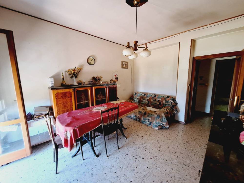 immagine annuncio 6 di 13