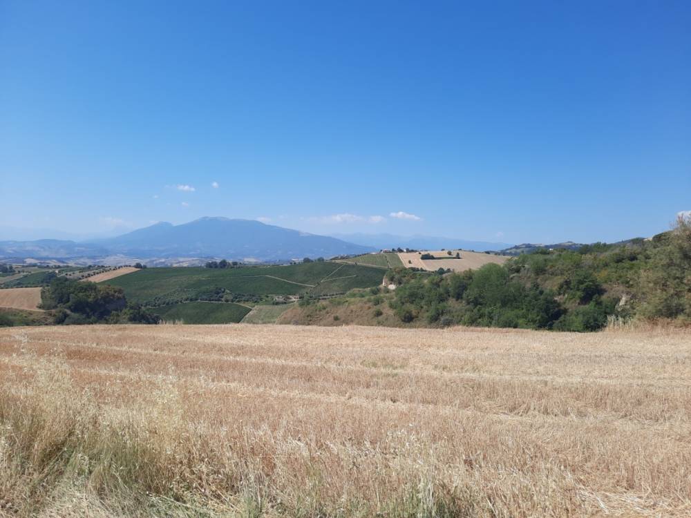 immagine annuncio 3 di 6
