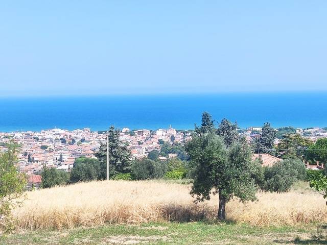 immagine annuncio 6 di 14