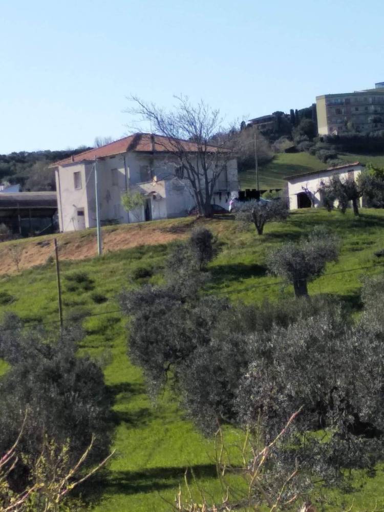 immagine annuncio 13 di 14