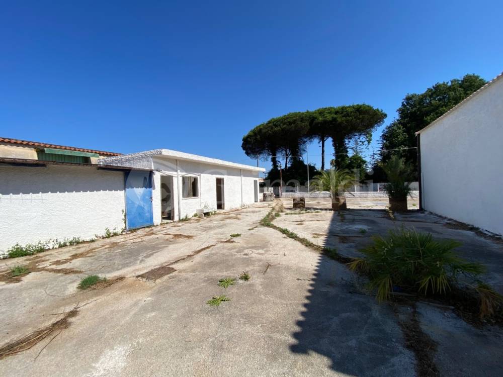 immagine annuncio 11 di 13