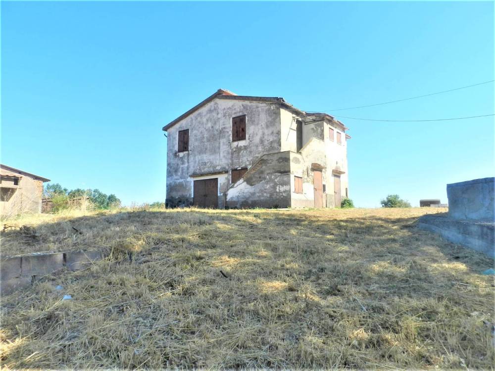 immagine annuncio 9 di 11