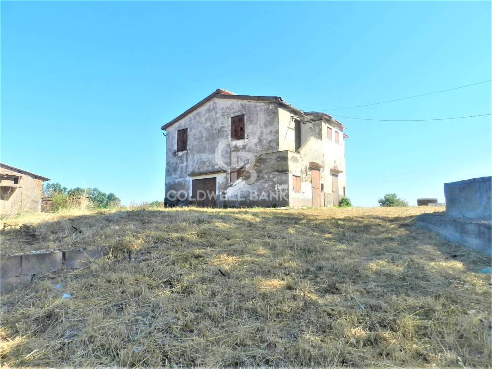immagine annuncio 4 di 9