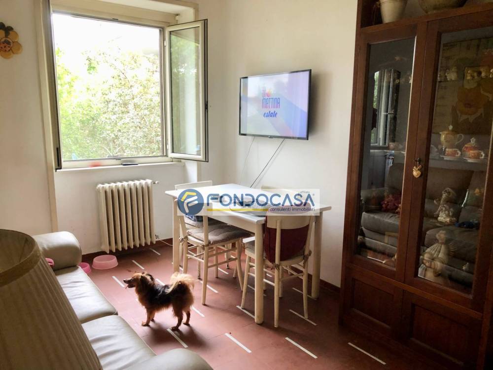 immagine annuncio 6 di 13
