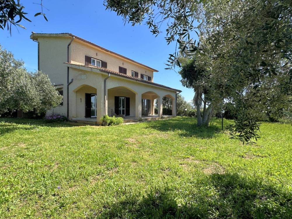 immagine annuncio 10 di 13