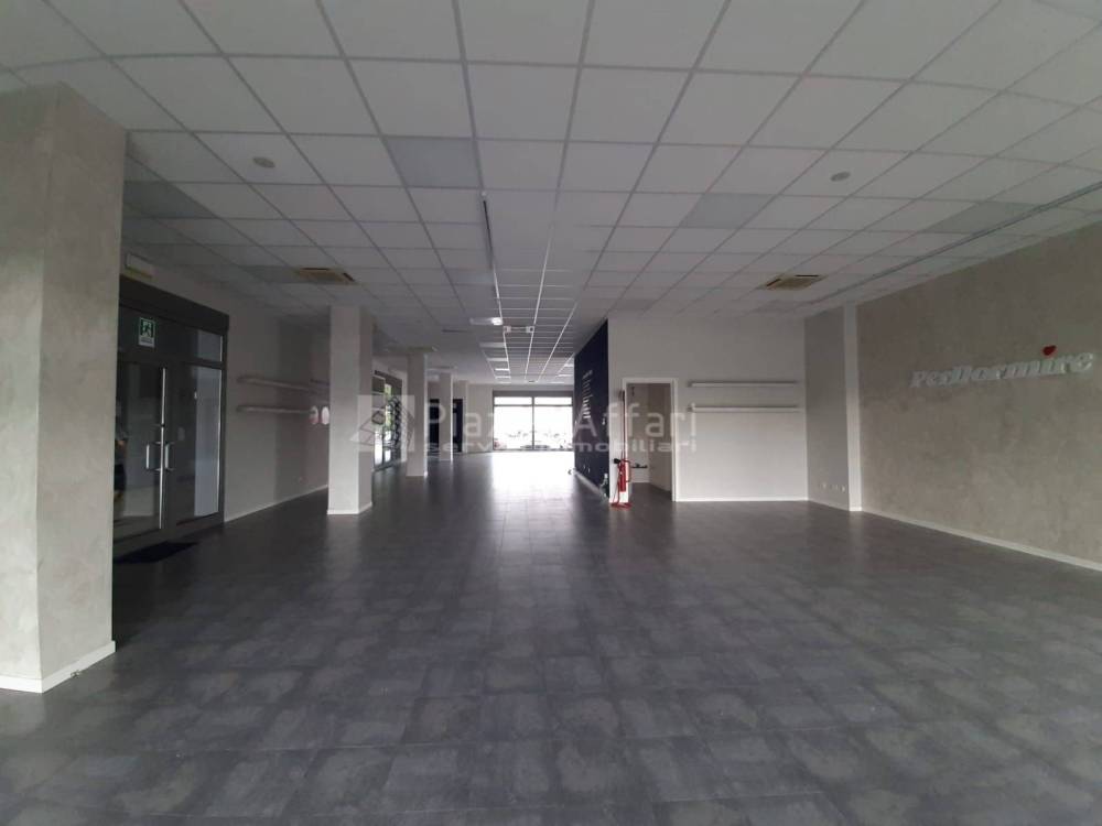 immagine annuncio 9 di 13