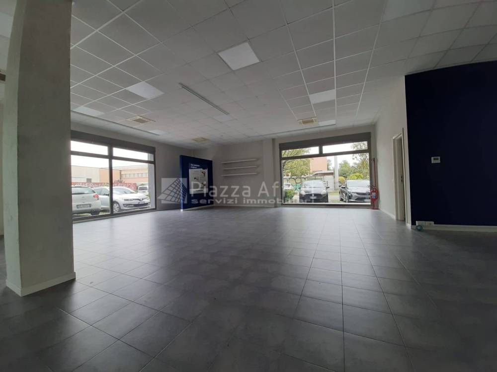 immagine annuncio 12 di 13