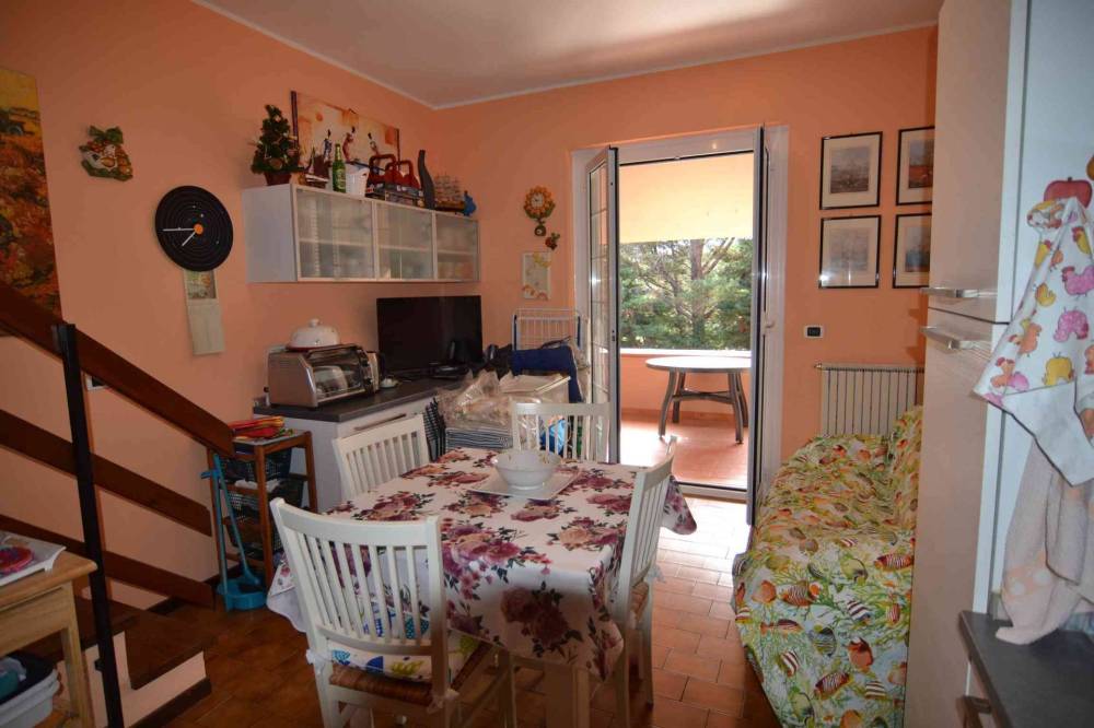 immagine annuncio 1 di 13