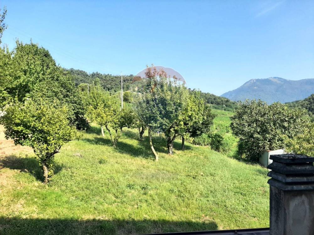 immagine annuncio 7 di 13