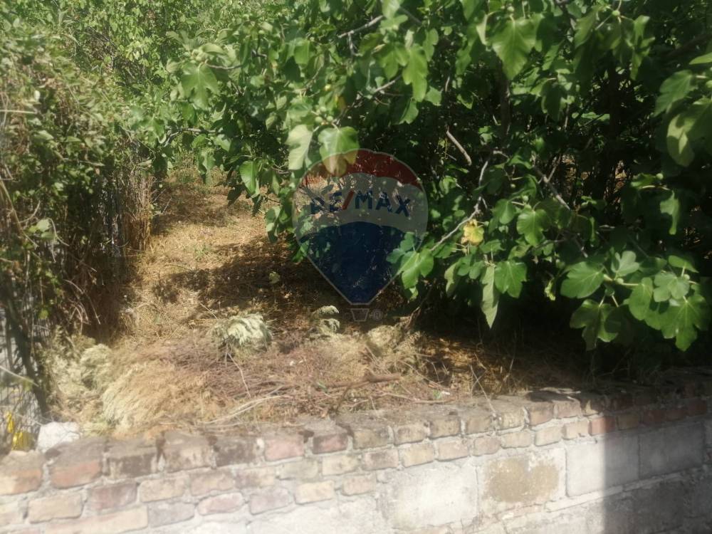 immagine annuncio 7 di 13