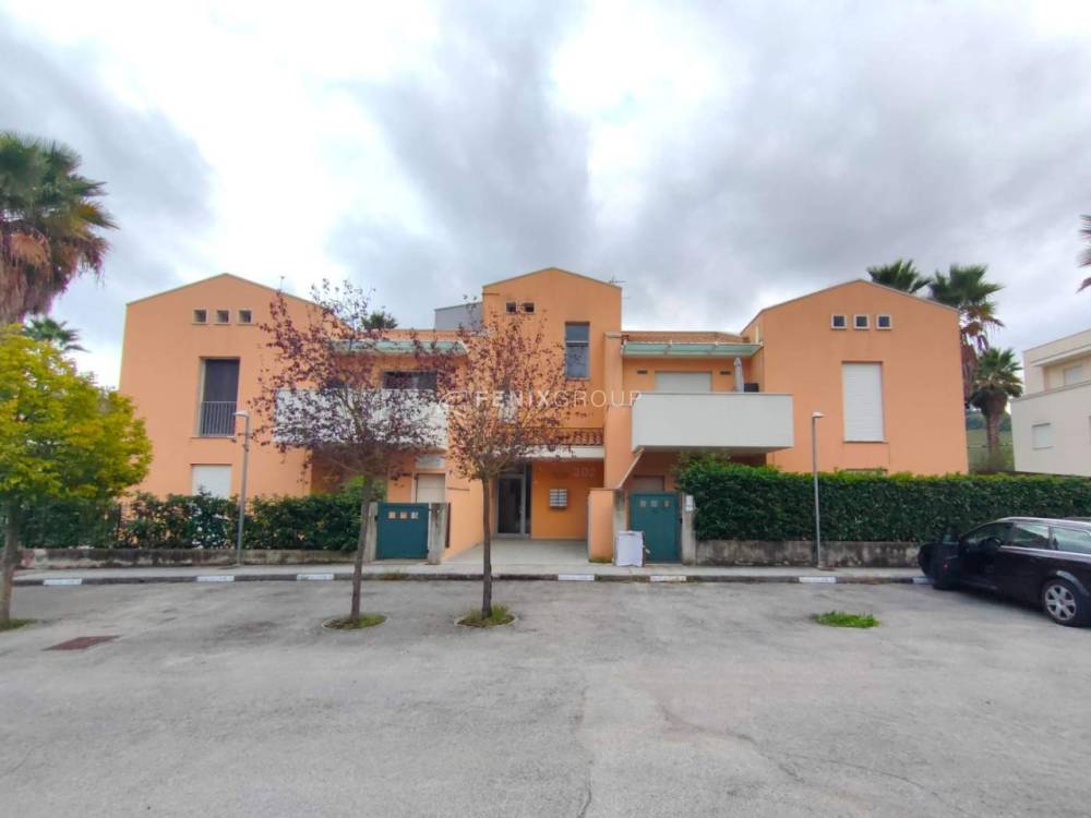 immagine annuncio 1 di 12