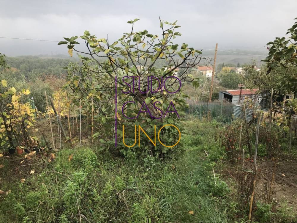 immagine annuncio 11 di 13