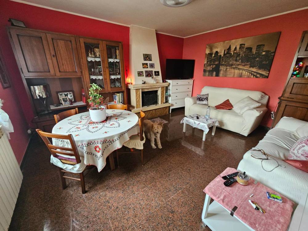 immagine annuncio 2 di 14