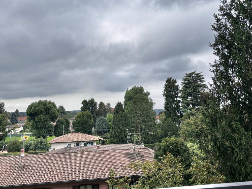 immagine annuncio 11 di 14