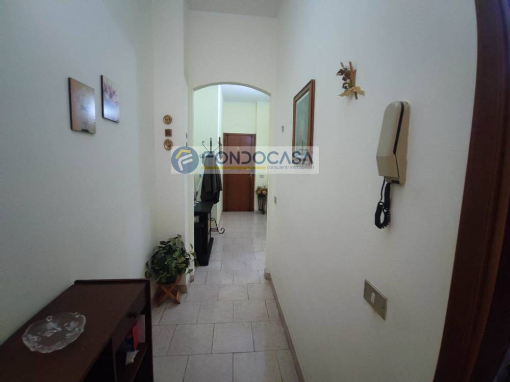 immagine annuncio 3 di 13
