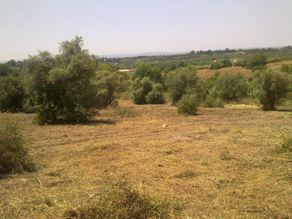 terreno agricolo in vendita a Siracusa in zona Belvedere