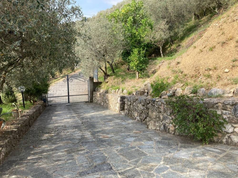 immagine annuncio 7 di 13