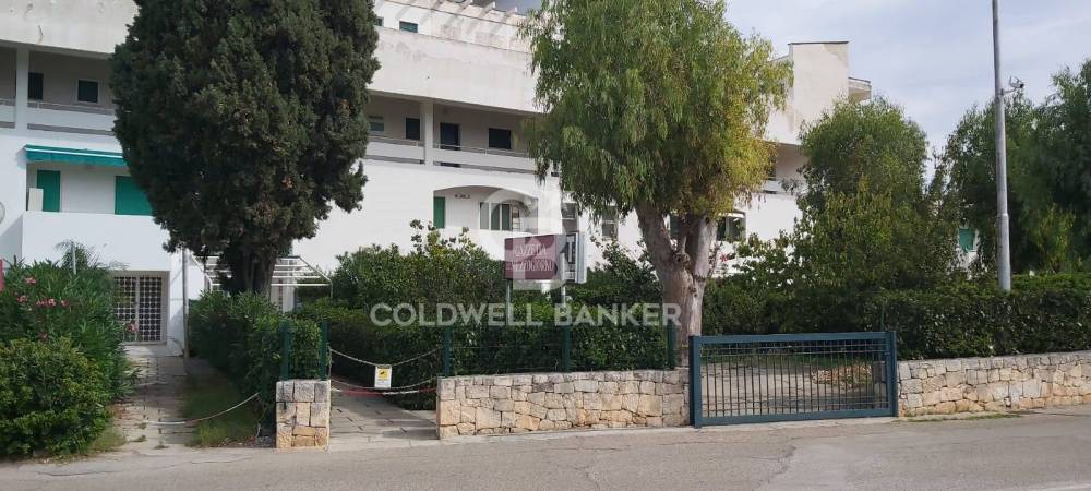 immagine annuncio 12 di 14